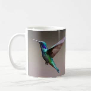 Taza De Café Increíblemente hermoso y colorido colibrí