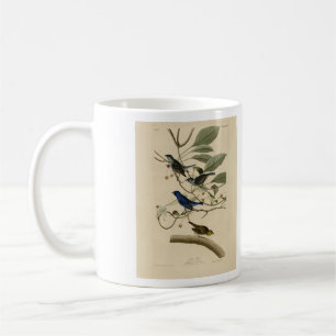 Taza De Café Indigo Bunting en Aves de América de Audubon