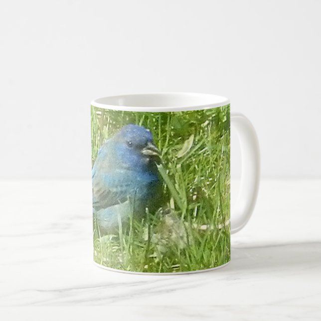 Taza De Café Indigo Bunting Mug (Anverso derecho)