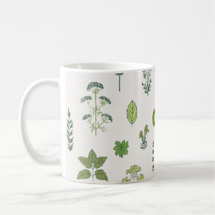 Taza De Café Infusión Botánica Verde
