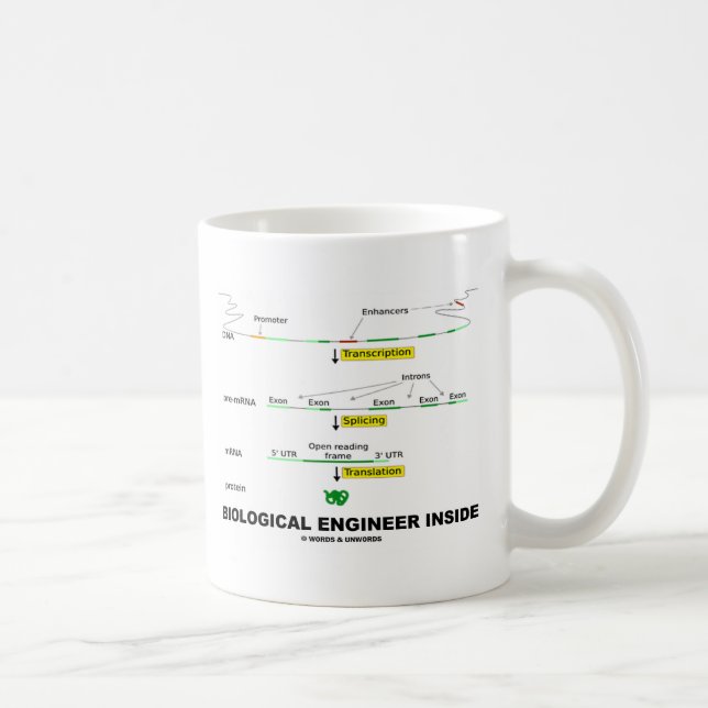 Taza De Café Ingeniero biológico dentro (Derecha)