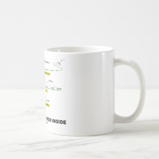Taza De Café Ingeniero biológico dentro (Derecha)