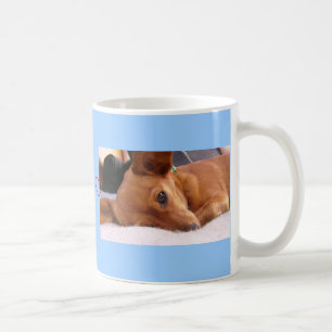 Taza De Café Inki la chihuahua