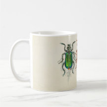 Insectos