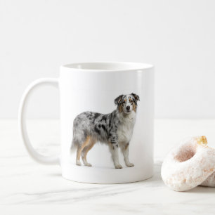 Taza De Café Inteligencia del Pastor Australiano Blue Merle