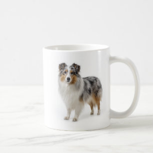 Taza De Café Inteligencia y Lealtad del Pastor de Shetland