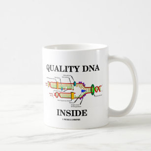 Taza De Café Interior de la DNA de la calidad (réplica de la