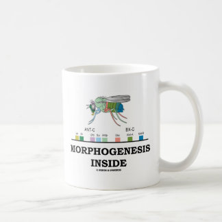 Taza De Café Interior de la morfogénesis (genes de la