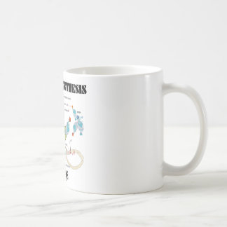 Taza De Café Interior de la síntesis de la proteína (biología
