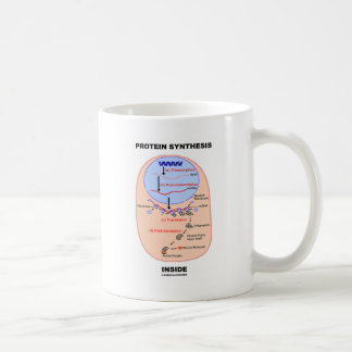 Taza De Café Interior de la síntesis de la proteína (diagrama