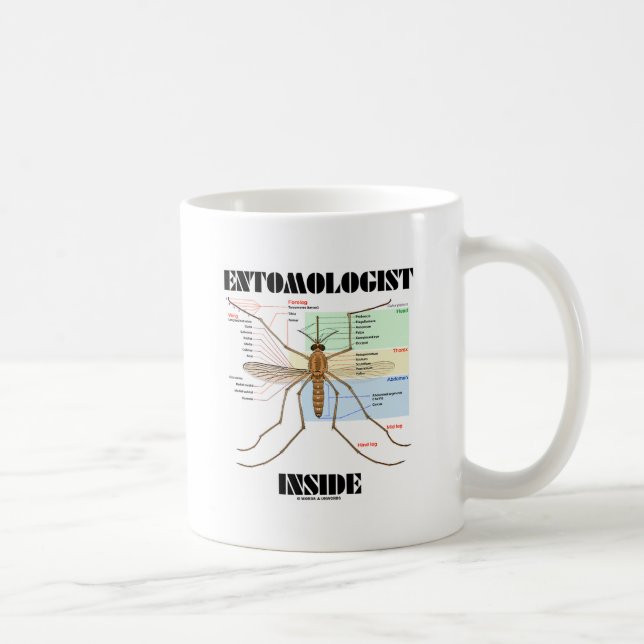 Taza De Café Interior del entomólogo (anatomía del mosquito) (Derecha)