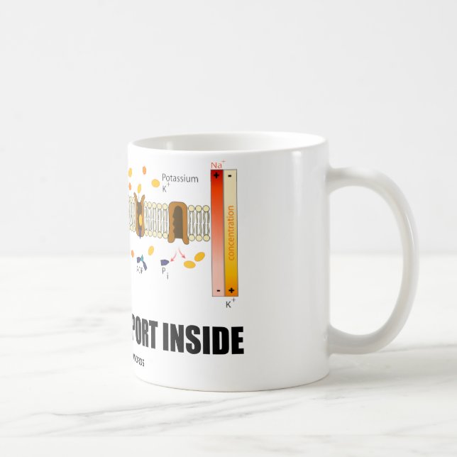 Taza De Café Interior del transporte activo (bomba de (Derecha)