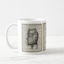 Intestines Anatomía Libro Arte Mug Regalo médico