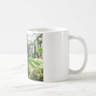 Taza De Café Invernadero en los jardines de Longwood