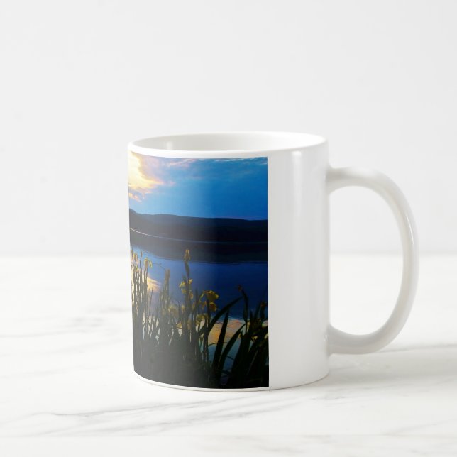 Taza De Café Iris amarillo en la orilla del lago Arrowhead (Derecha)