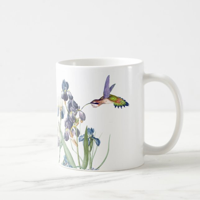 Taza De Café Iris de los animales de la fauna de los pájaros