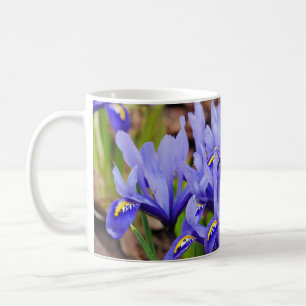 Taza De Café Iris Flowers Mug