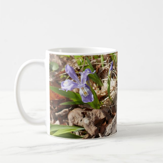 Taza De Café Iris Miniatura Silvestre (Izquierda)