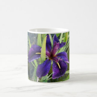 Taza De Café Iris púrpura del agua