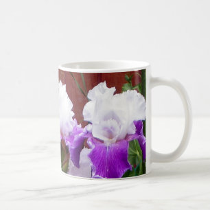 Taza De Café Iris púrpuras y blancos