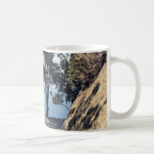 Taza De Café Isla Catalina