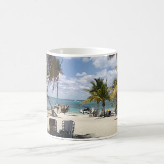 Taza De Café Isla de Catalina