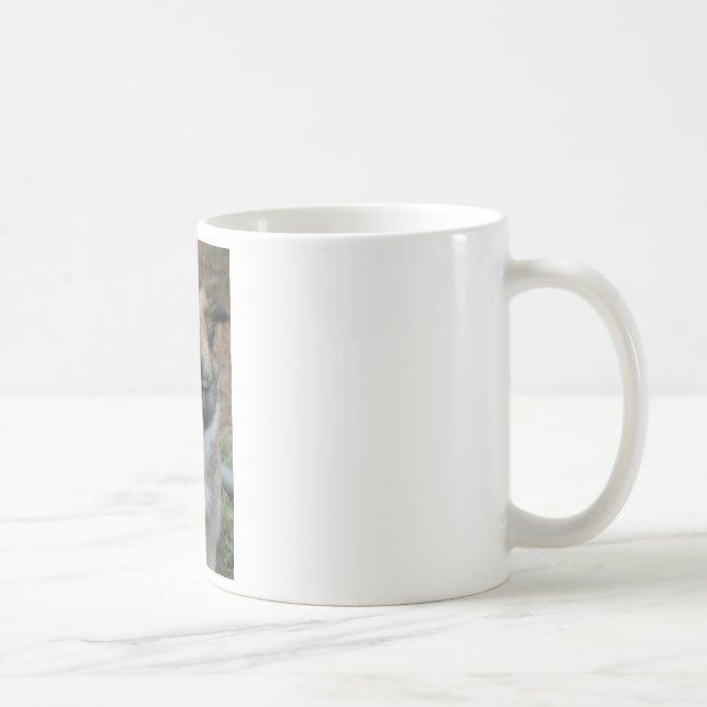 Taza De Café Islandhund (Derecha)