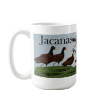 Jacanas del mundo