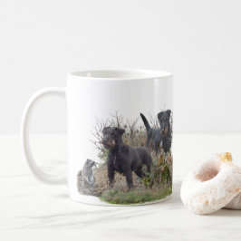 Taza De Café Jagdterrier, Bo contra Renbrad Kennel". Pegatina P