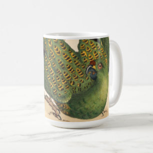 Taza De Café James Sowerby Ground Parrot, Psittacus terrestres