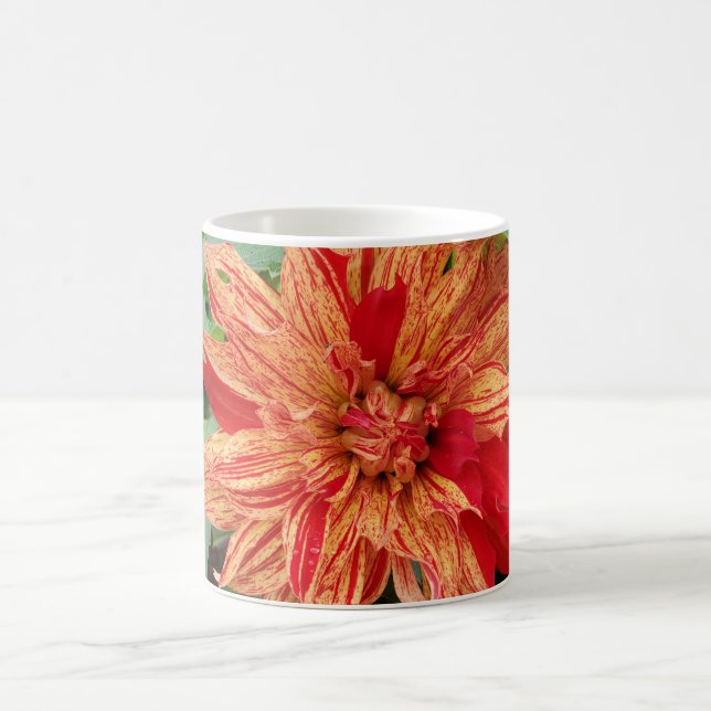 Taza De Café Jardín de verano (Centro)