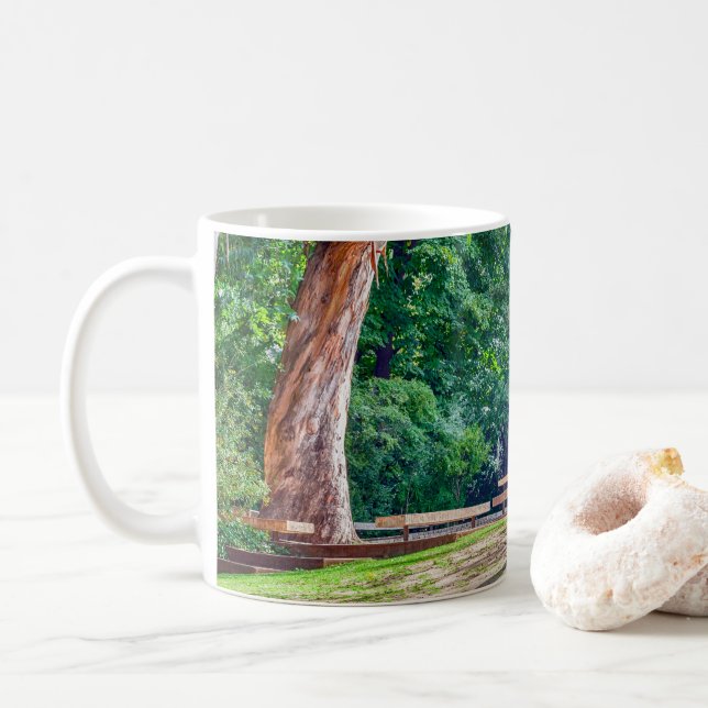Taza De Café Jardines de la fundación Calouste Gulbenkian. (Con donut)