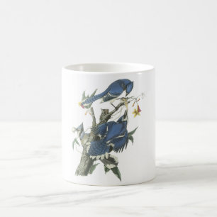 Taza De Café Jay azul de Audubon