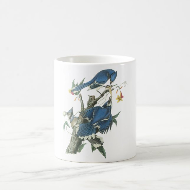 Taza De Café Jay azul de Audubon (Centro)