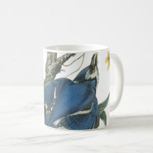 Taza De Café Jay azul de Audubon