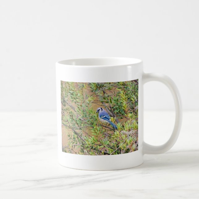 Taza De Café Jay azul en Southern Wax Myrtle (Derecha)