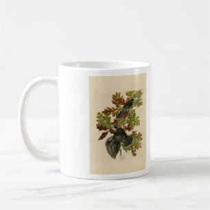 Taza De Café Jay de Canadá (Jay gris) - Aves de América de Audu
