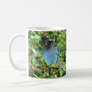 Taza De Café Jay Mug de Steller de BirdingCollectibles