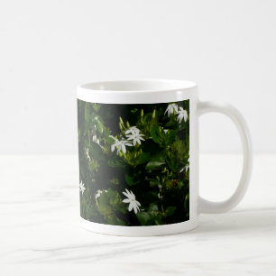 Taza De Café Jazmín Flores Tropicales Florales Botánicas