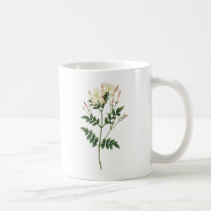 Taza De Café jazmín (grandiflorum del Jasminum) por Redouté