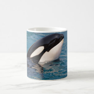 Taza De Café Jefe de la ballena asesina