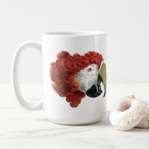 Taza De Café Jefe de una Macaw (1725-1792) Aert Schouman
