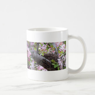 Taza De Café Jerarquía de luto de la paloma, paloma de luto de