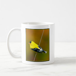 Taza De Café Jilguero Americano - Fotografía Original