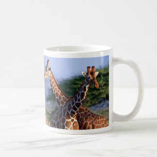Taza De Café Jirafas entrecruzado, madre + Niño