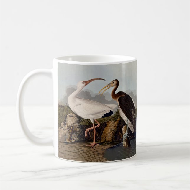 Taza De Café John James Audubon White Ibis Bird Print Classic (Izquierda)