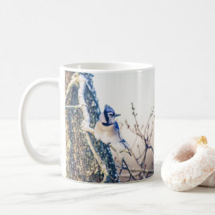 Taza De Café Jornadas nevadas Naturaleza de las aves Jay Blue C