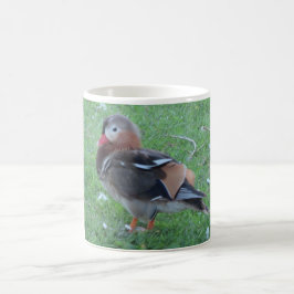 Taza De Café Jóvenes pavos mandarín