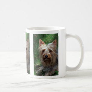 Taza De Café Juguete Terrier sedoso