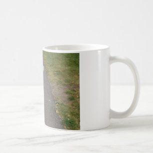 Taza De Café july2: 2008